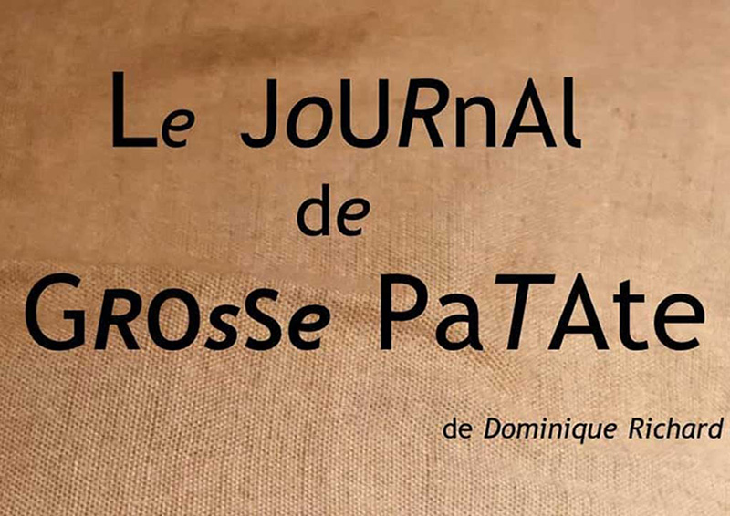 Le Journal de Grosse Patate de de Dominique Richard avec Sabine Jean